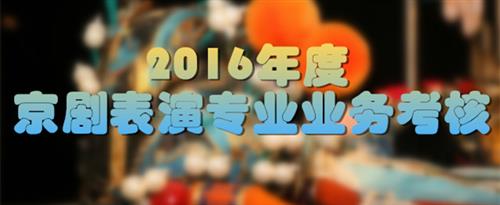 我想橾逼大片国家京剧院2016年度京剧表演专业业务考...